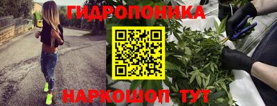 a pvp Абинск