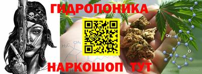a pvp Абинск