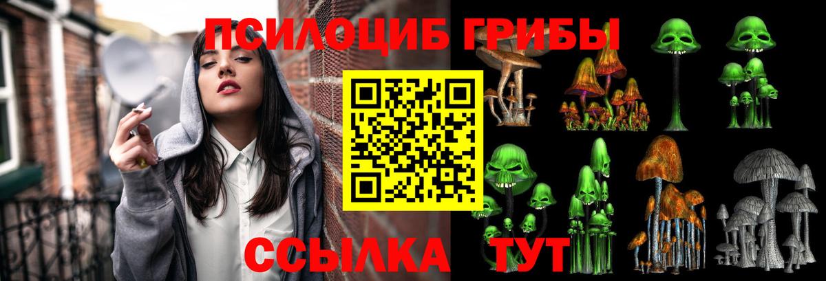 Псилоцибиновые грибы Psilocybine cubensis Альметьевск